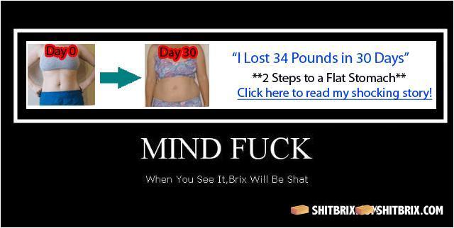 Shit_brix_pic