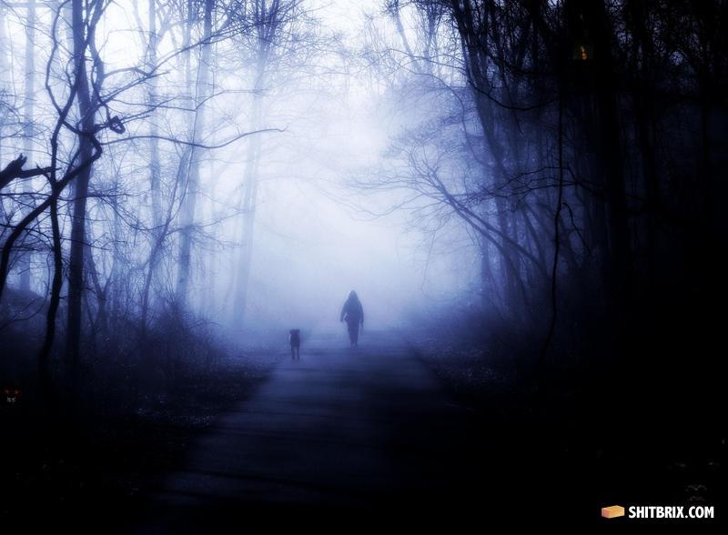 Darkforest