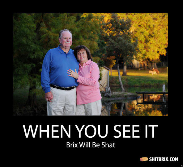 Shit_brix