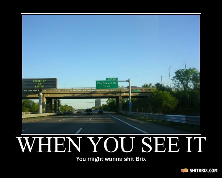 Shit_brix